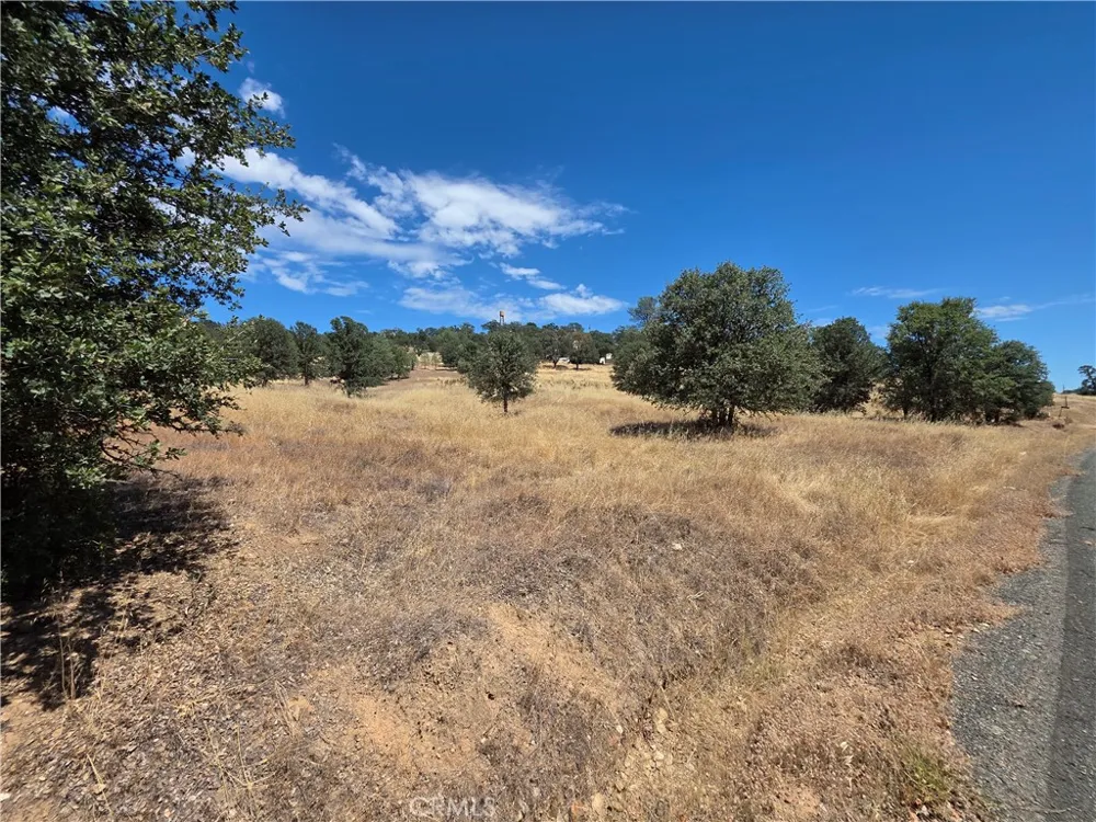 1910 New Long Valley Clearlake Oaks, CA 95423