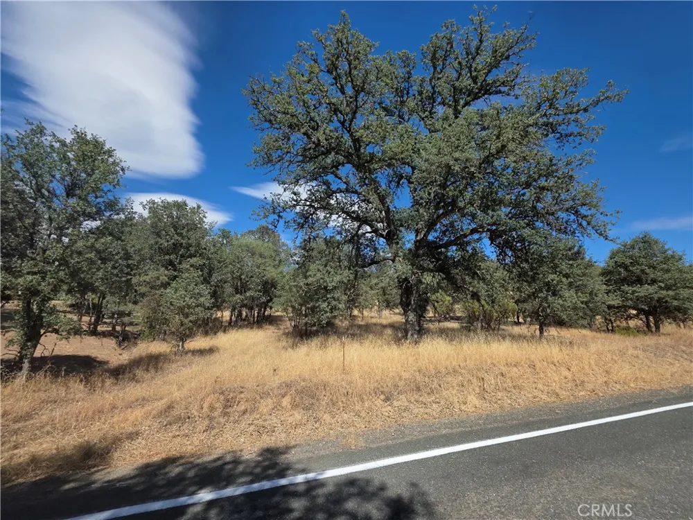 1910 New Long Valley Clearlake Oaks, CA 95423