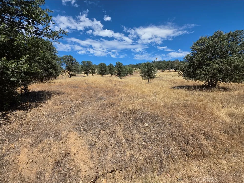 1910 New Long Valley Clearlake Oaks, CA 95423