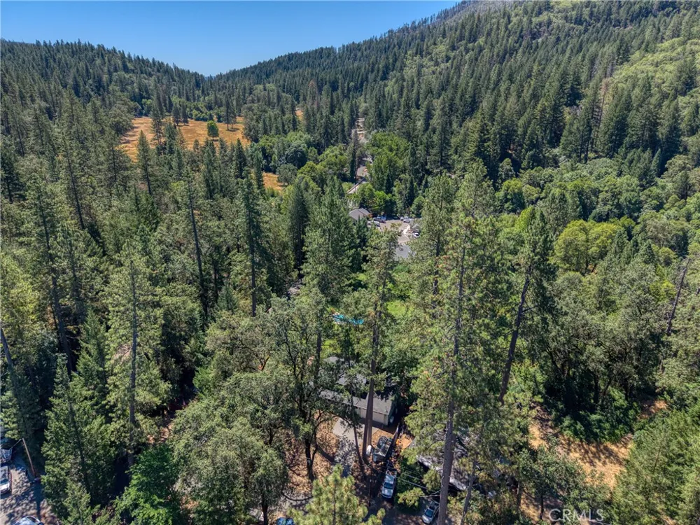 9945 Meadow Cobb, CA 95426
