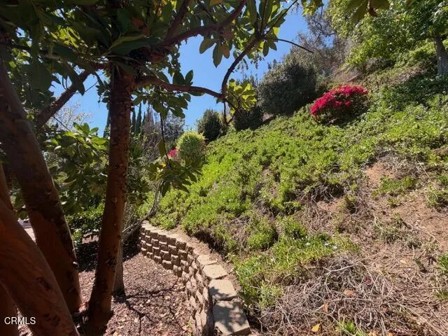 657 Dana Drive Santa Paula, CA 93060