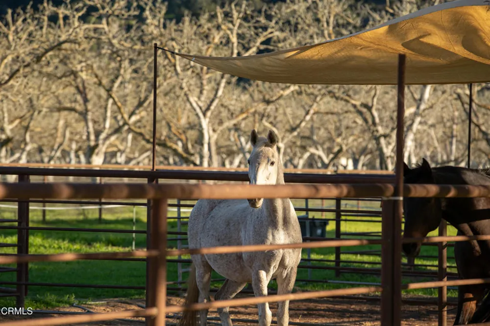 8669 Santa Rosa Road Buellton, CA 93427