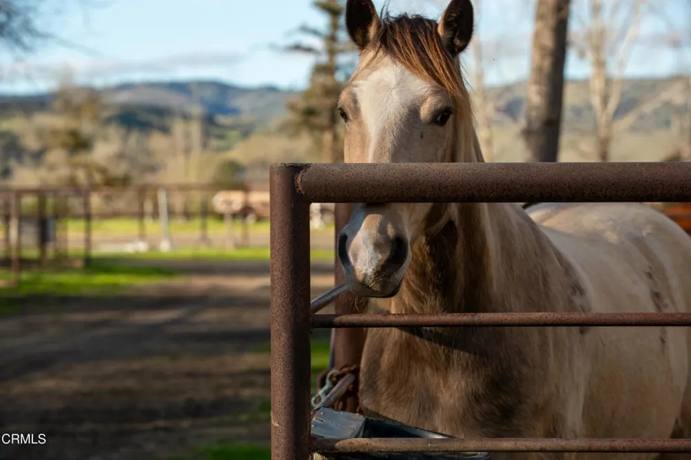 8669 Santa Rosa Road Buellton, CA 93427