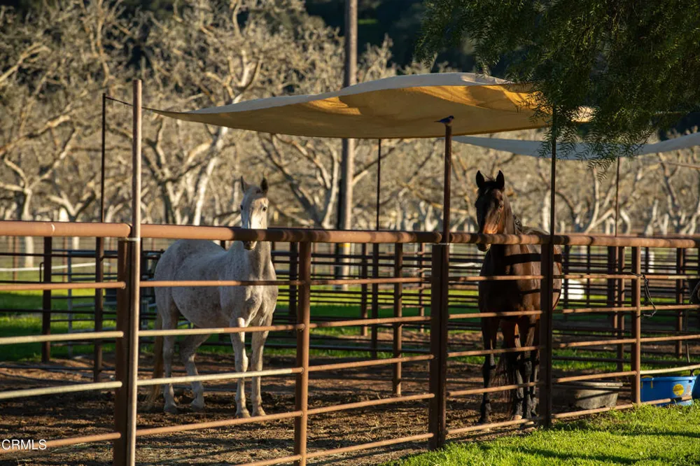 8669 Santa Rosa Road Buellton, CA 93427