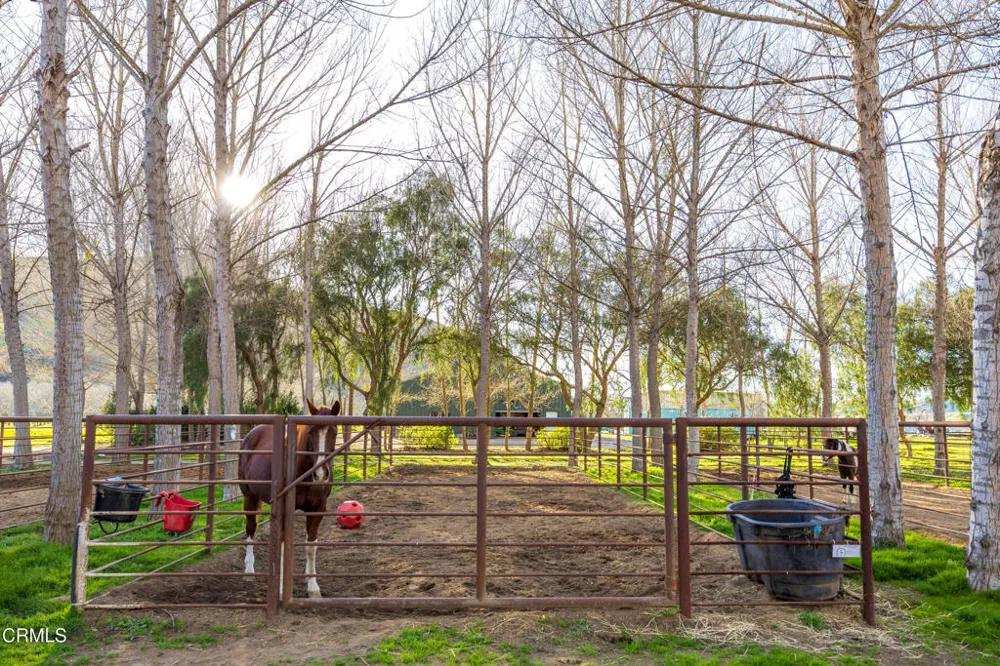 8669 Santa Rosa Road Buellton, CA 93427
