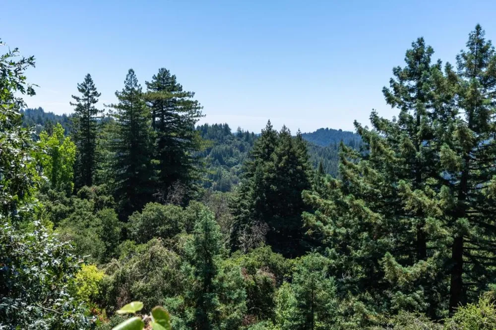 23695 Hutchinson Road Los Gatos, CA 95033