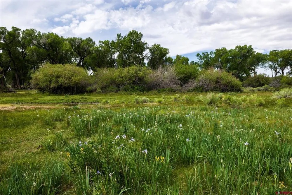 County Road 16 San Acacio, CO 81152