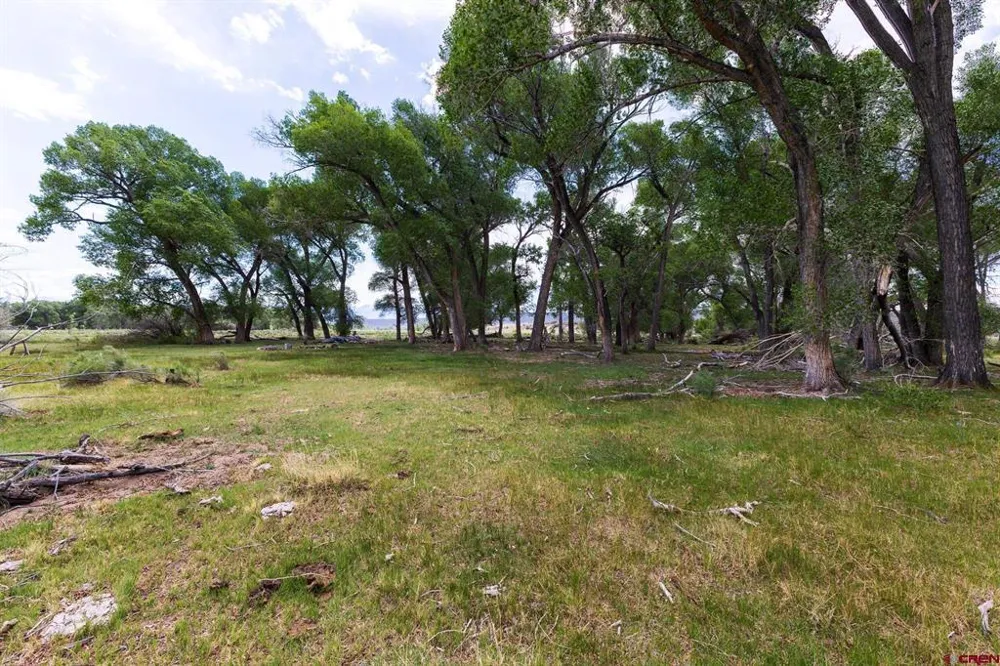 County Road 16 San Acacio, CO 81152