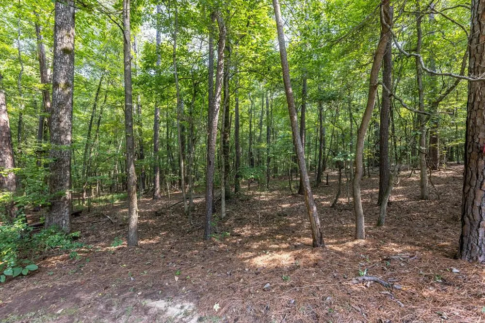 128 Janees Way Midland, GA 31820