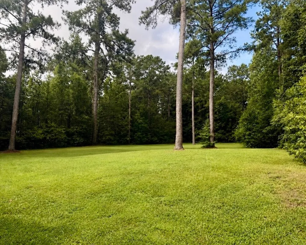 60 Garden Grove Drive Waverly Hall, GA 31831