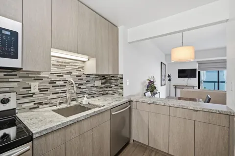 1 Daniel Burnham Court #307