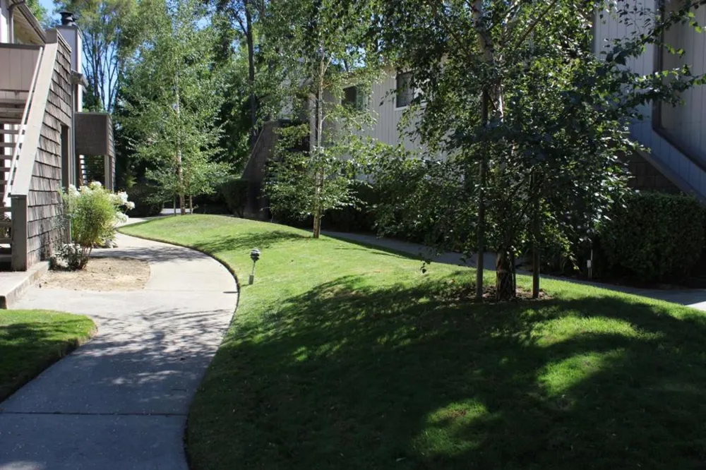 131 La Crosse Drive Morgan Hill, CA 95037