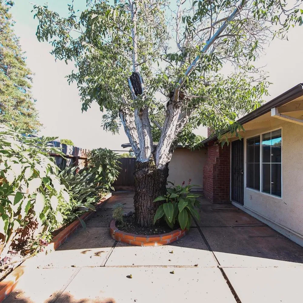 340 Walnut Lane Gilroy, CA 95020