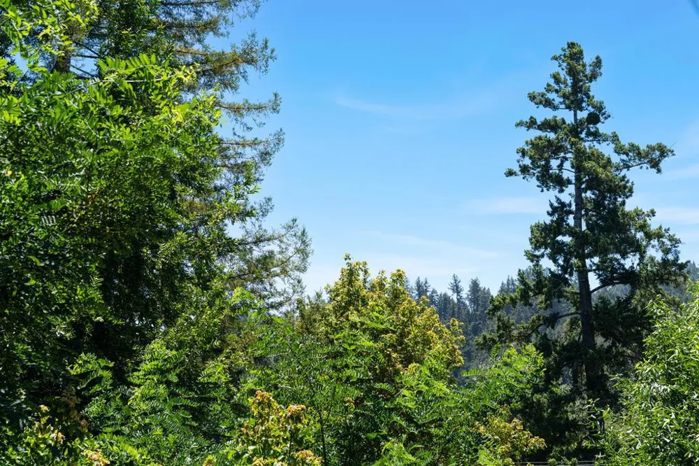 9655 Glen Arbor Road Ben Lomond, CA 95005