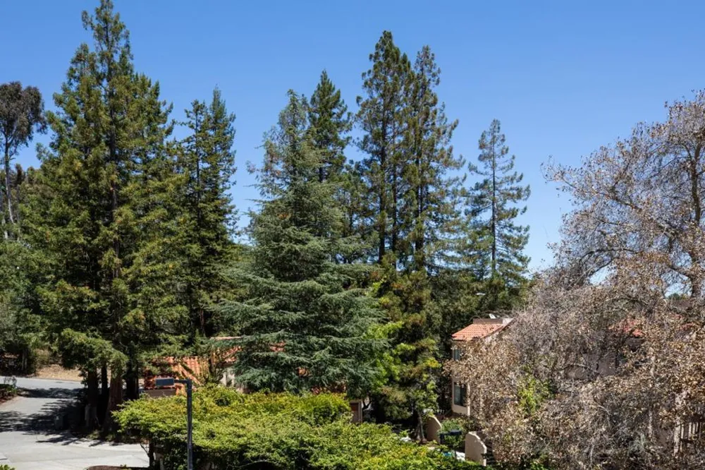 2379 Lyall Way Belmont, CA 94002