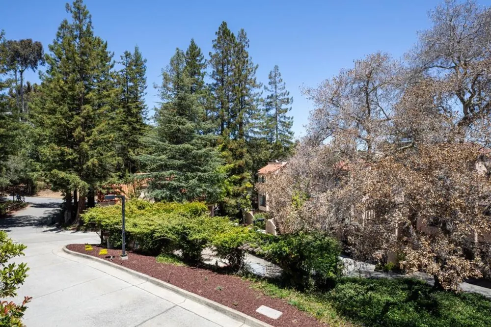 2379 Lyall Way Belmont, CA 94002