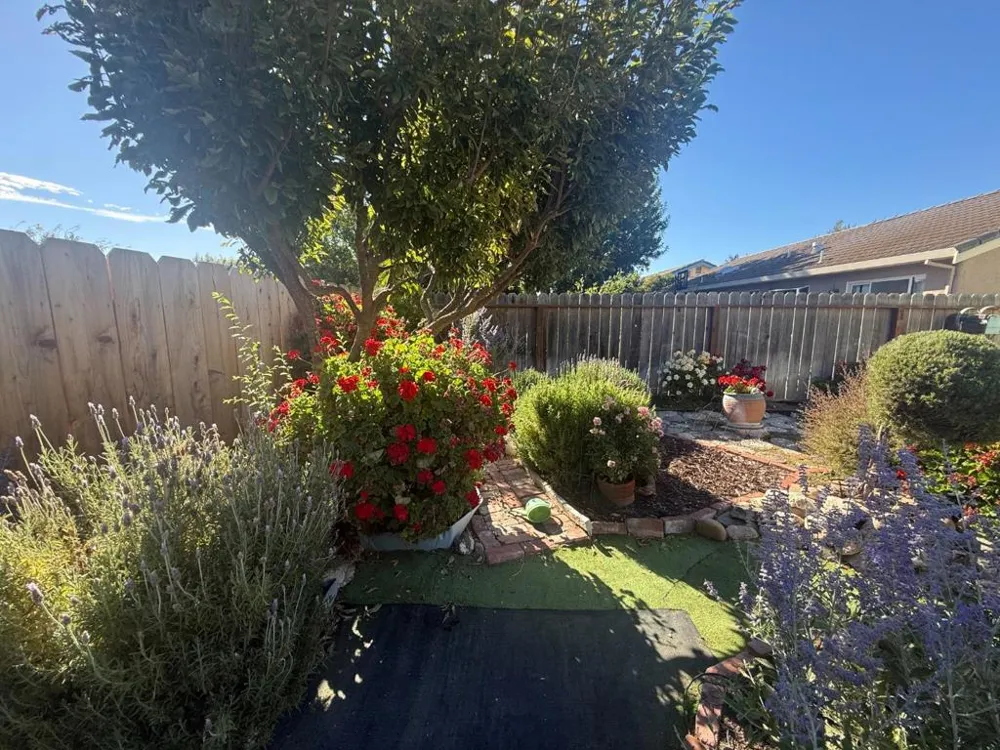 46085 Pine Meadow Drive King City, CA 93930