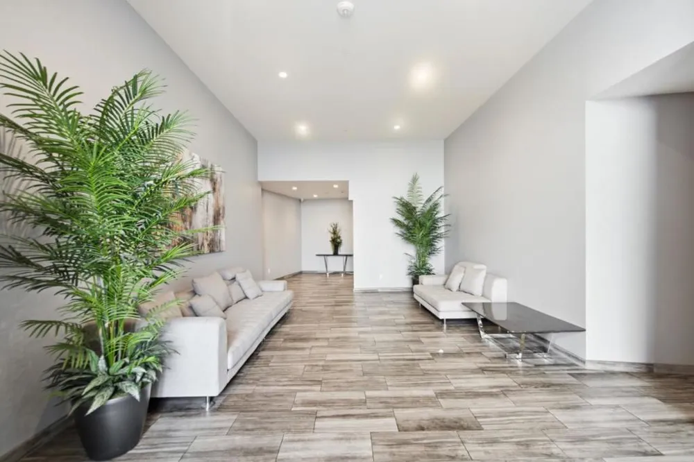 600 El Camino Real #311 Belmont, CA 94002