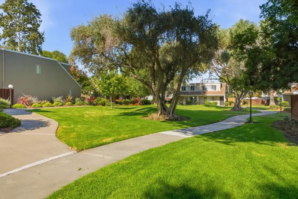 2505 Olivegate Lane San Jose, CA 95136