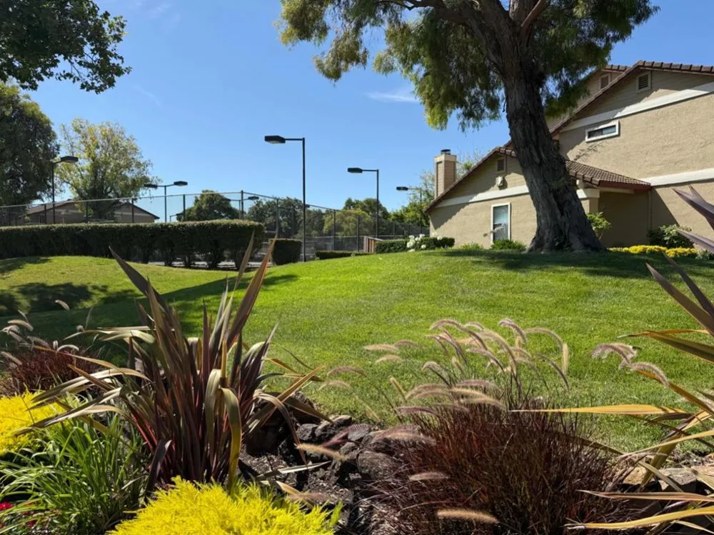 3101 Peppermill Circle Pittsburg, CA 94565