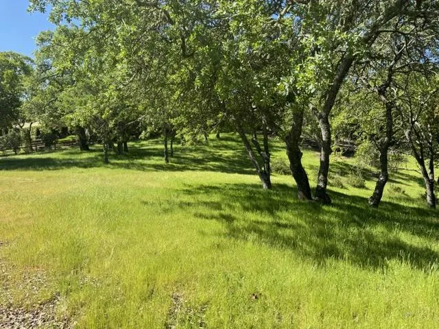 8341 Winter Green Court Gilroy, CA 95020