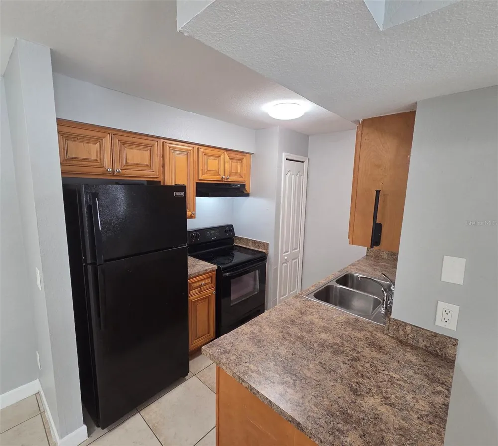 510 GOLDEN RAINTREE PLACE Brandon, FL 33510