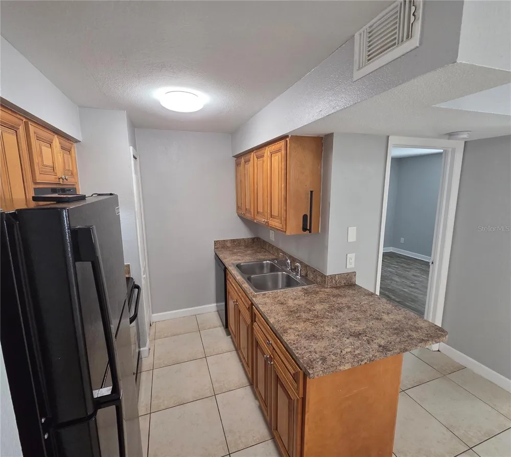 510 GOLDEN RAINTREE PLACE Brandon, FL 33510