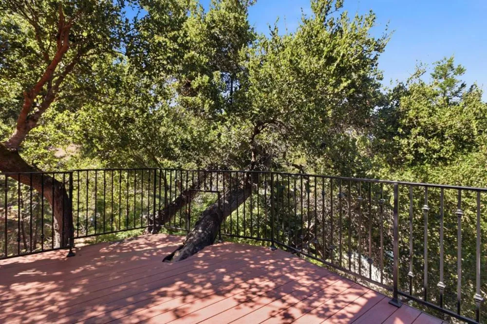 3911 Pepper Tree Court Redwood City, CA 94061
