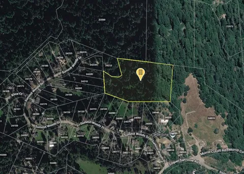 Summit Woods
