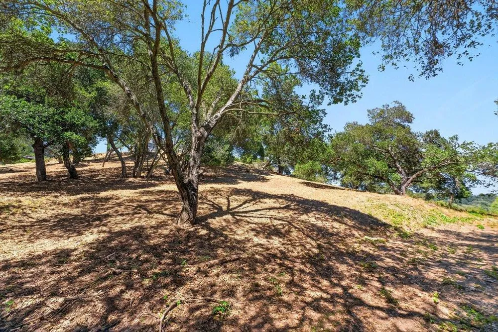 75 Skylark Lane Watsonville, CA 95076