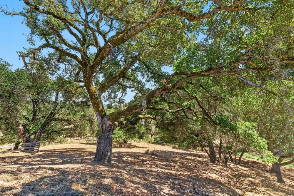 75 Skylark Lane Watsonville, CA 95076