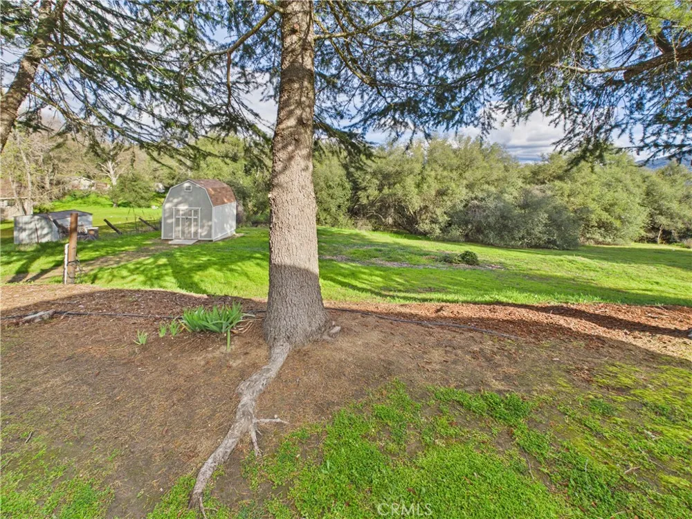 42177 Lone Olive Ahwahnee, CA 93601