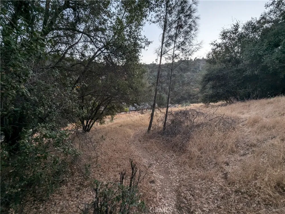 Joe Howard Street Mariposa, CA 95338