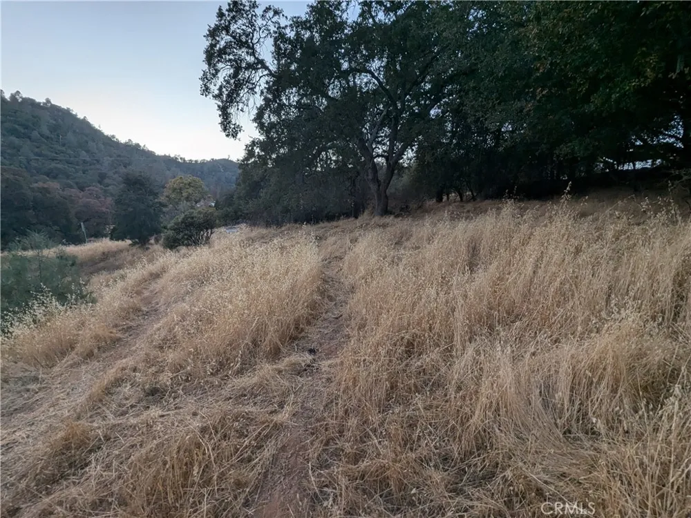 Joe Howard Street Mariposa, CA 95338