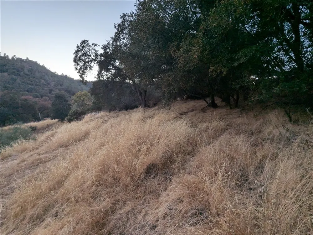 Joe Howard Street Mariposa, CA 95338