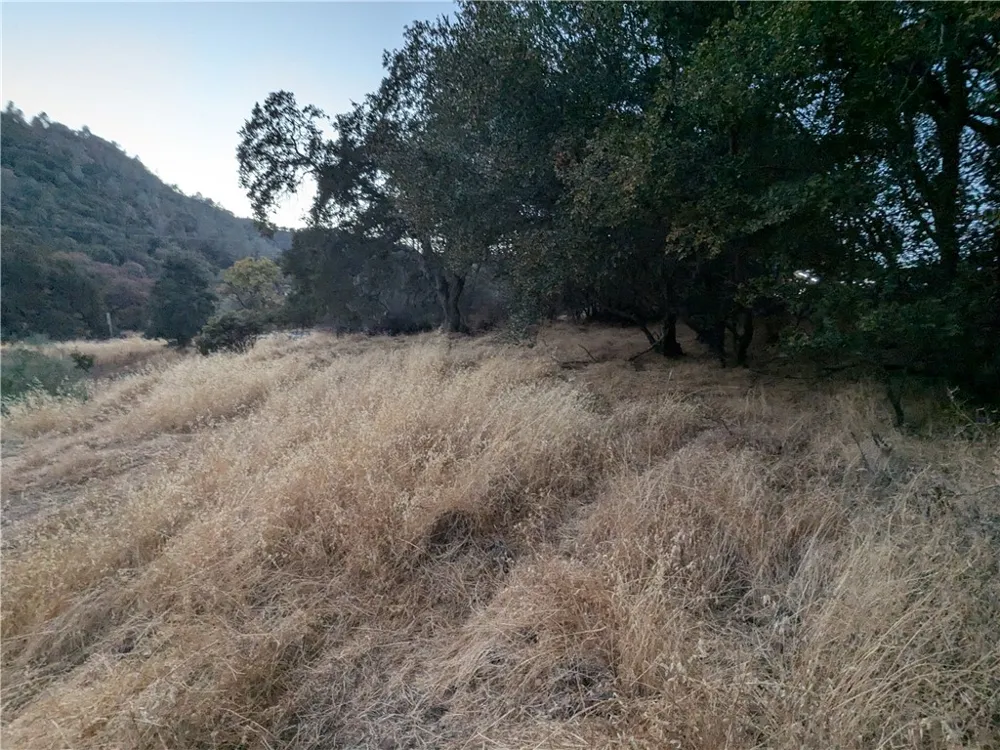 Joe Howard Street Mariposa, CA 95338