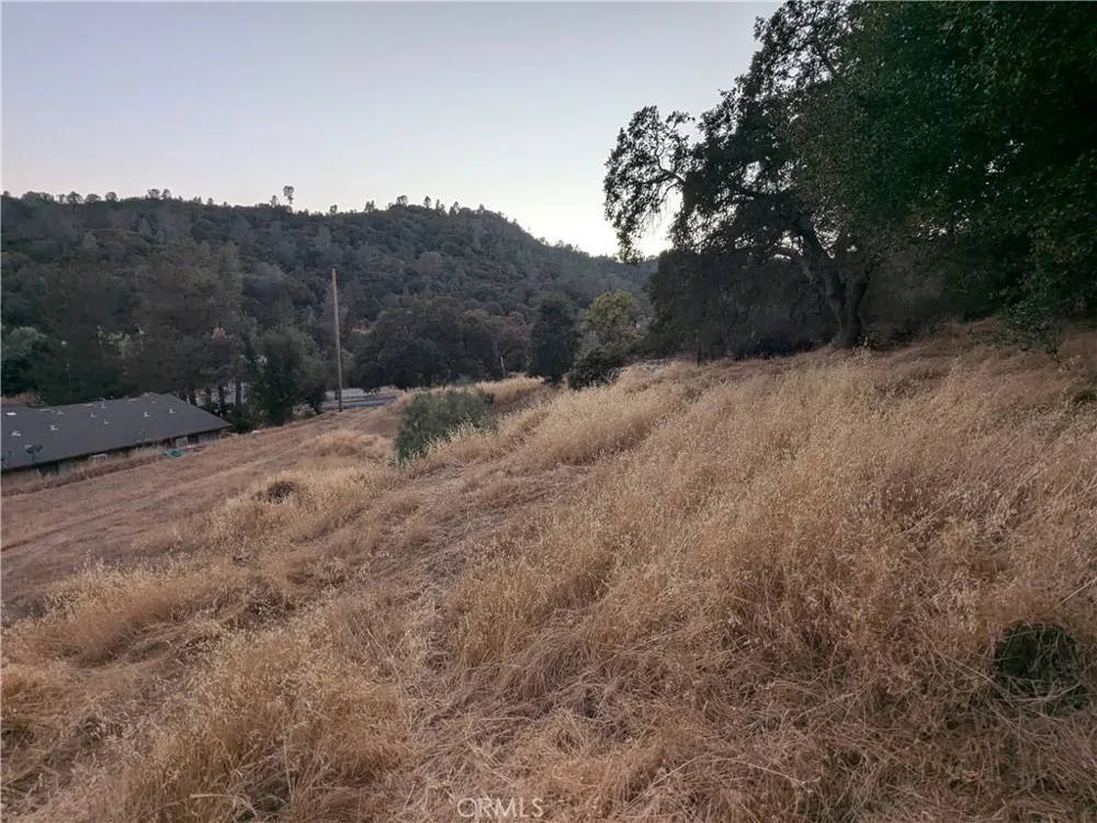 Joe Howard Street Mariposa, CA 95338