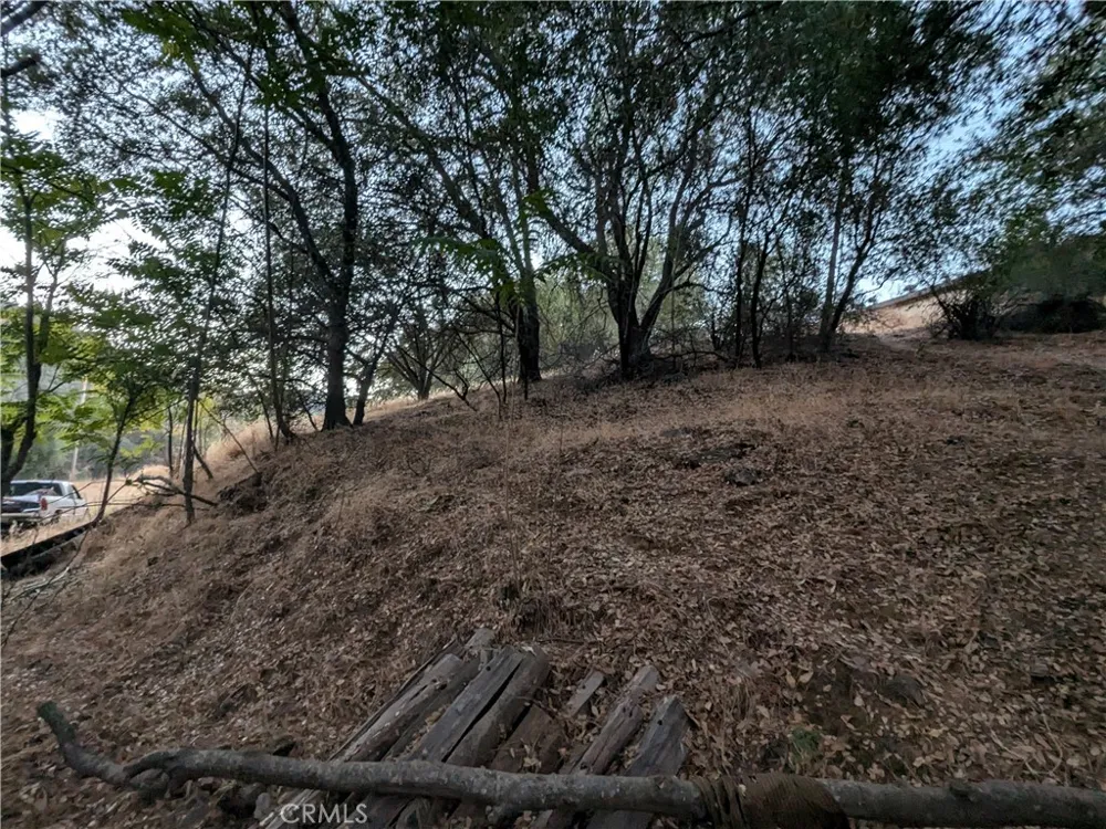 Joe Howard Street Mariposa, CA 95338