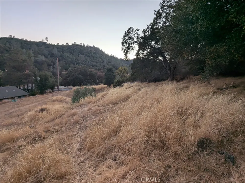Joe Howard Street Mariposa, CA 95338