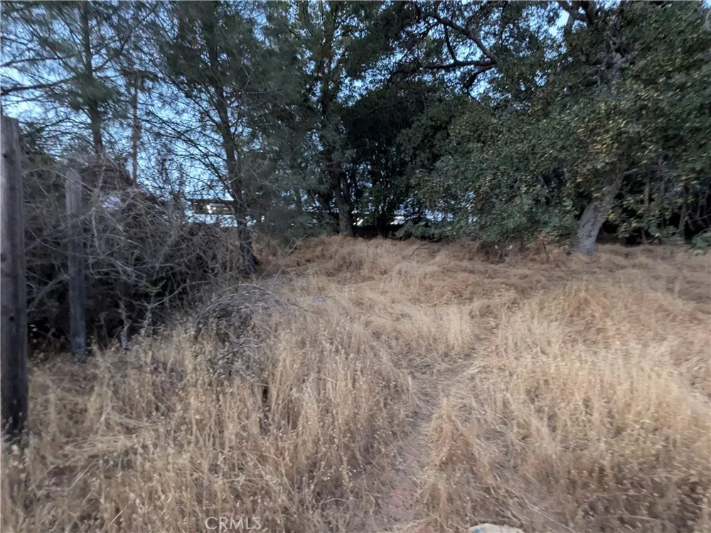 Joe Howard Street Mariposa, CA 95338