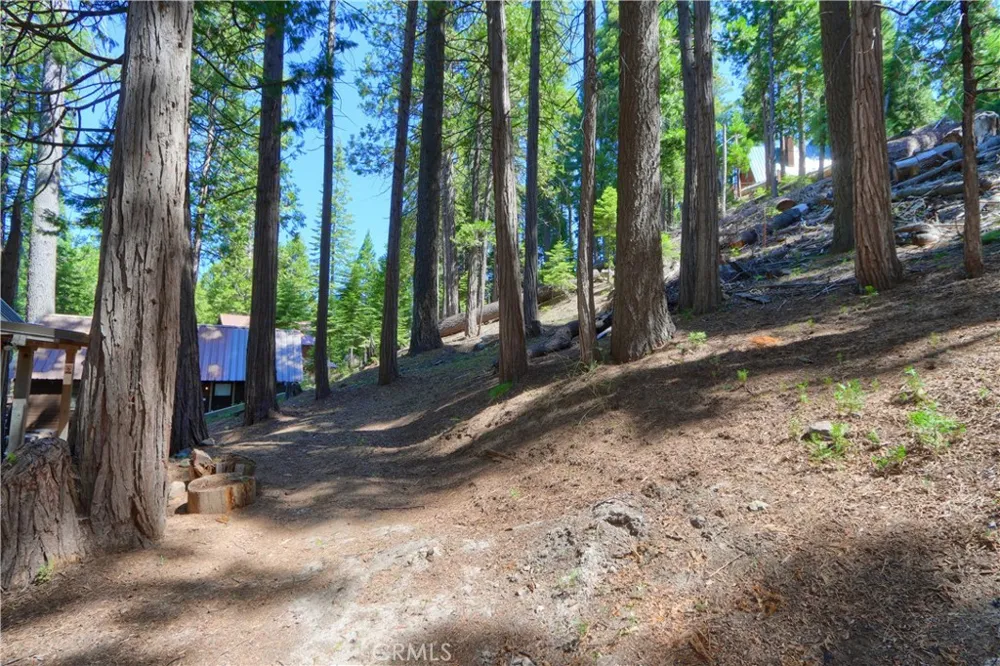 7771 White Chief Mountain Fish Camp, CA 93623