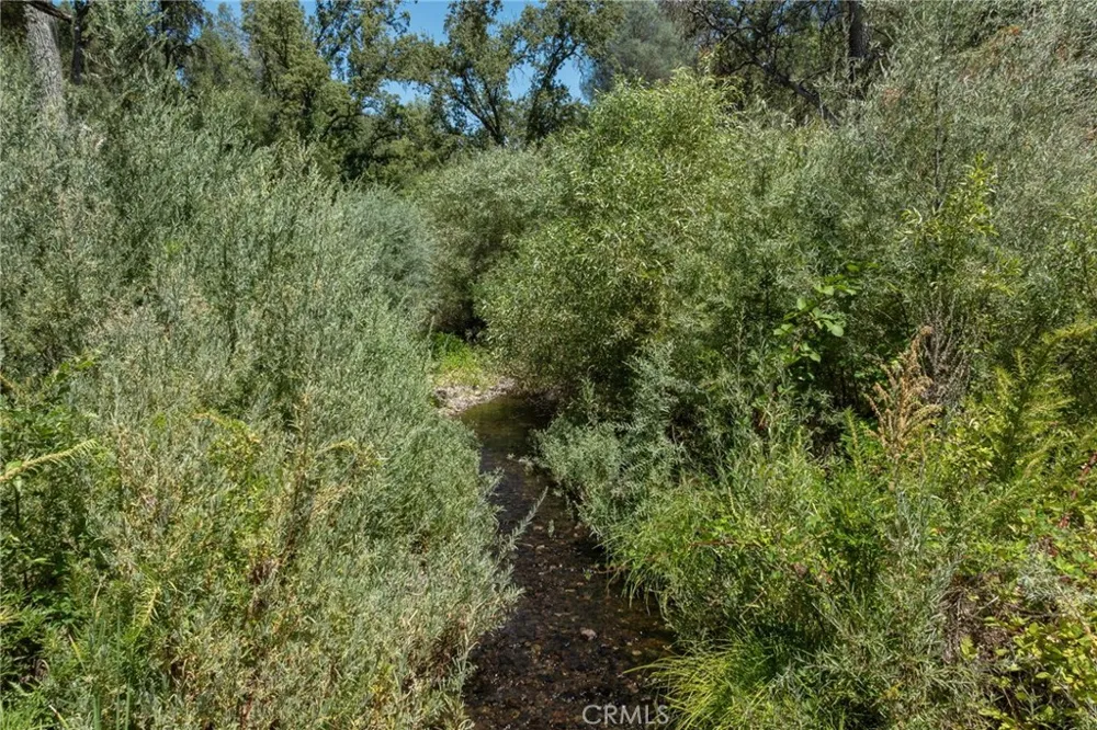 3981 Snow Creek Road Mariposa, CA 95338