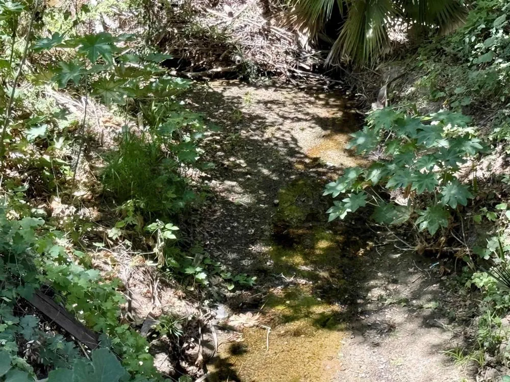 764 Old Highway 395 Fallbrook, CA 92028