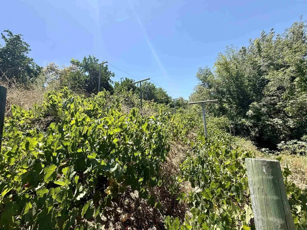 764 Old Highway 395 Fallbrook, CA 92028