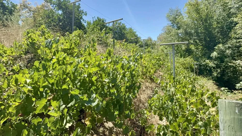764 Old Highway 395 Fallbrook, CA 92028