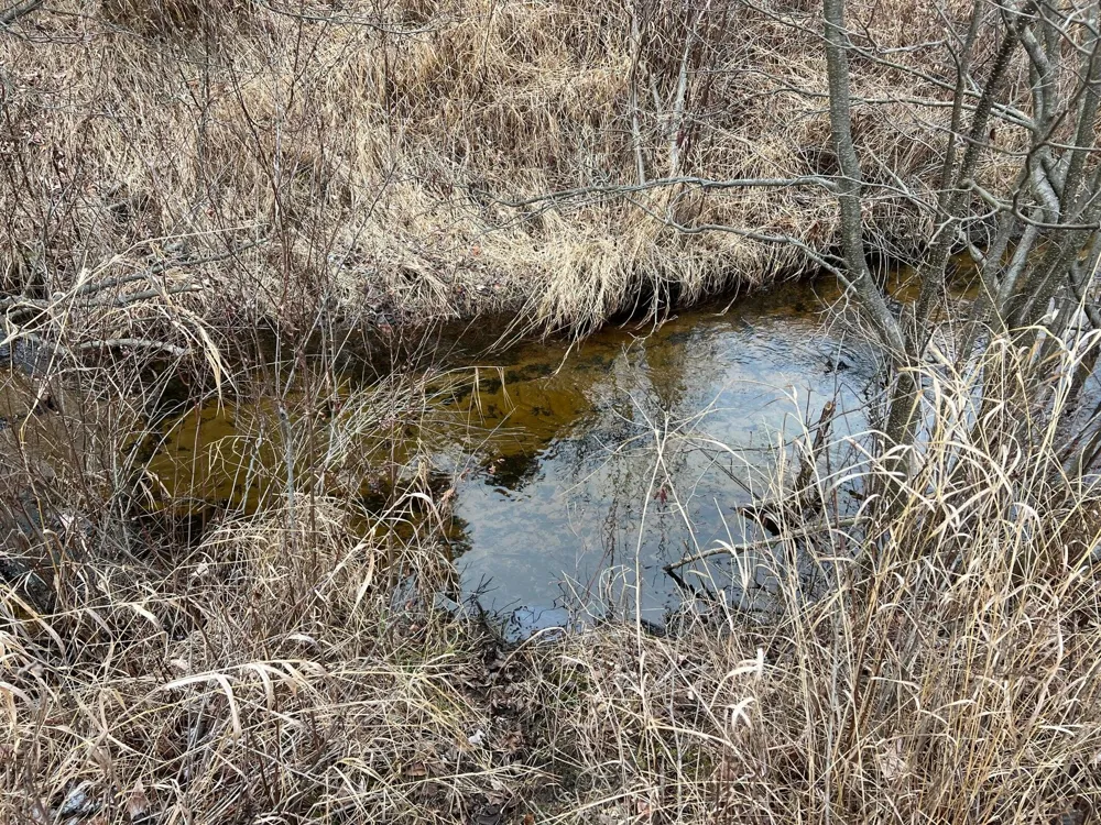 25a Nyrkkanen Road Kaleva, MI 49645