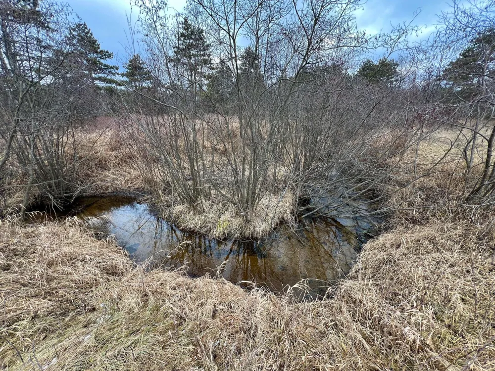 25a Nyrkkanen Road Kaleva, MI 49645