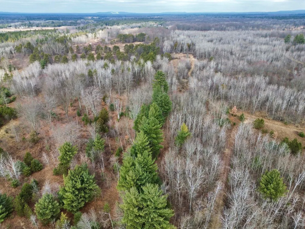 25a Nyrkkanen Road Kaleva, MI 49645