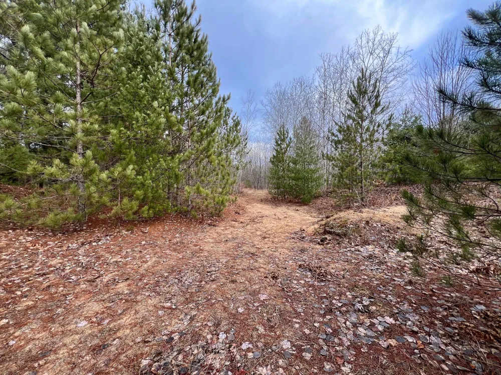 25a Nyrkkanen Road Kaleva, MI 49645