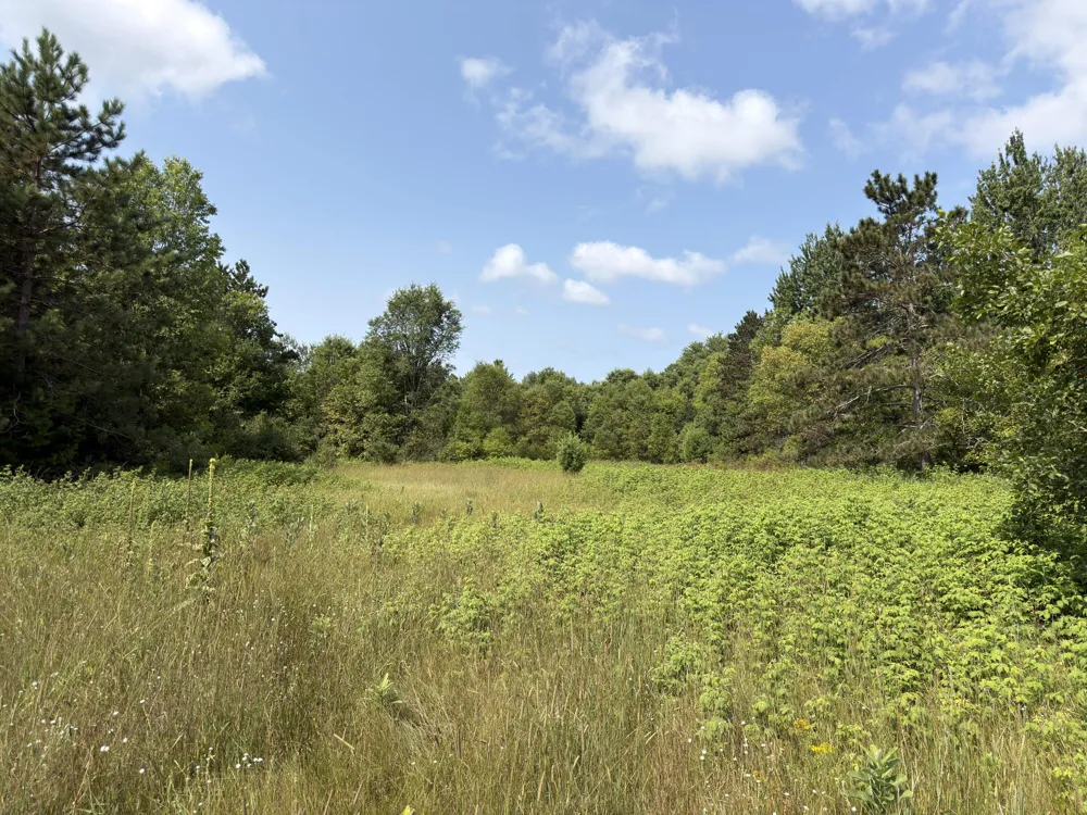 25a Nyrkkanen Road Kaleva, MI 49645